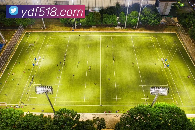 多媒体互动体验