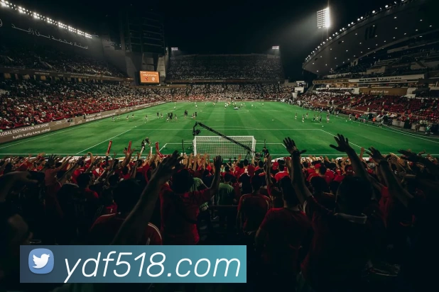 壹定发官网APP 体育赛事宣传图